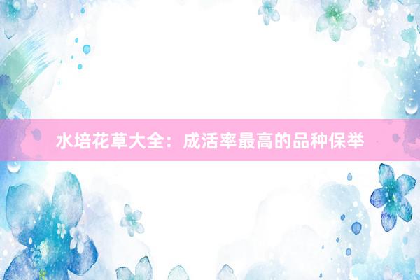 水培花草大全:成活率最高的品种保举